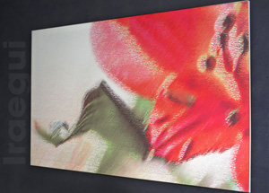 Foto de Canvas - Pulsar para ampliar